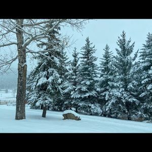 Meet your Posher, Araceli